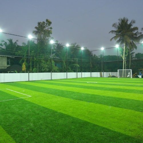 Football Turf Grass