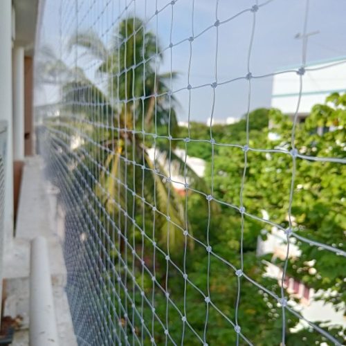 HDPE Pigeon Net