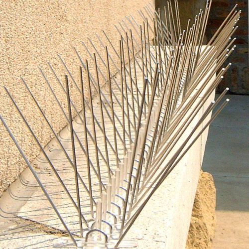 Stainless Steel Bird Spike