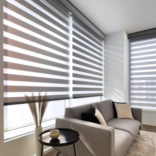 Zebra Blinds